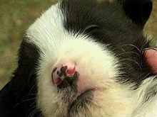 Фото новости