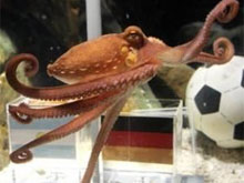 Фото новости