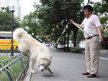 Фото новости