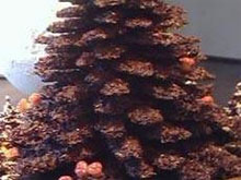 Фото новости