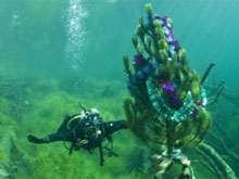 Фото новости