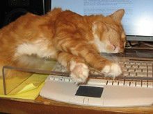 Фото публикации